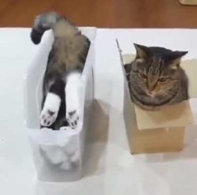 How do you box?