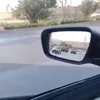 Shrine on wheels