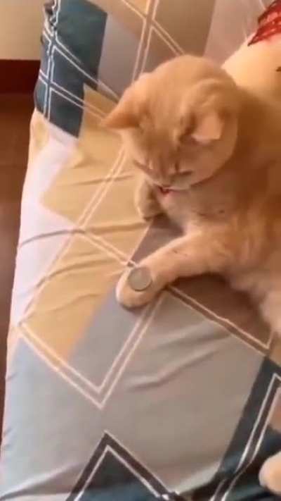 Maybe maybe maybe