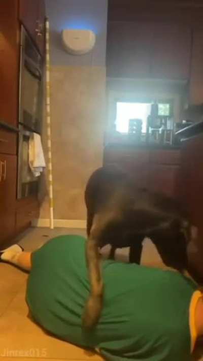 Nearly a good boy