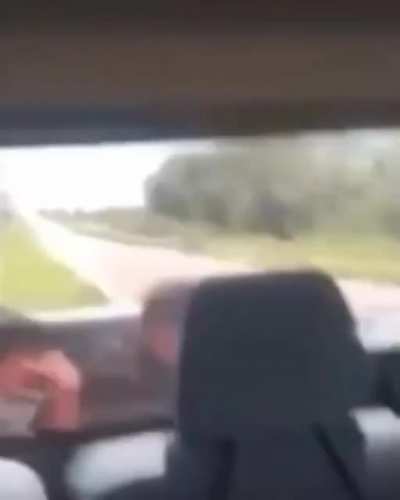 People making their way to freedom