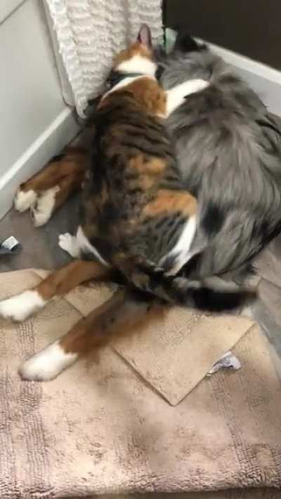 It’s fun to watch these two play together