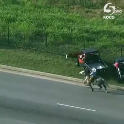 Cowboys doing cowboy things ?