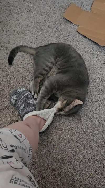 His most favorite socks in the world