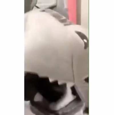 why did he push the cat off like tha- ?