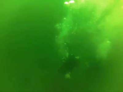 scuba diving