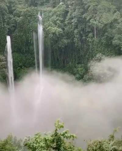 ? Sekumpul Waterfalls, Bali Indonesia