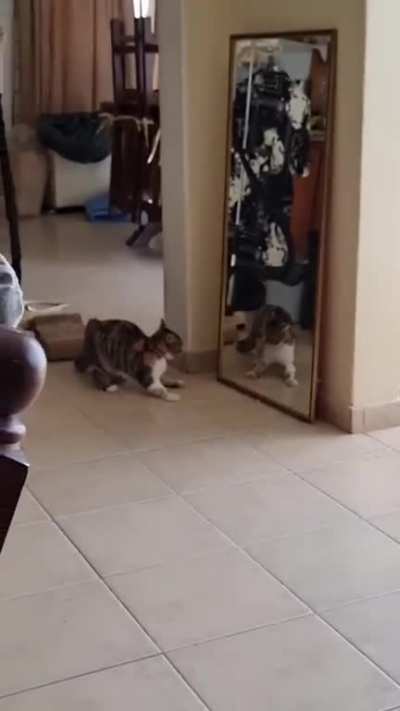 mirror spook