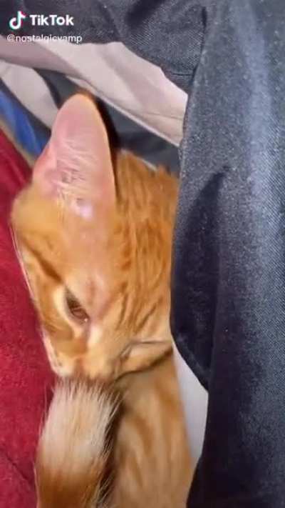 BONK