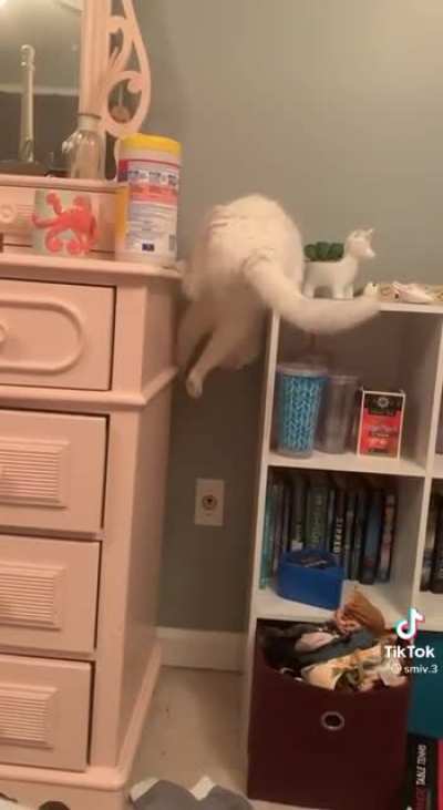Cathlete