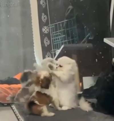 The brutality of this battle is off the charts?