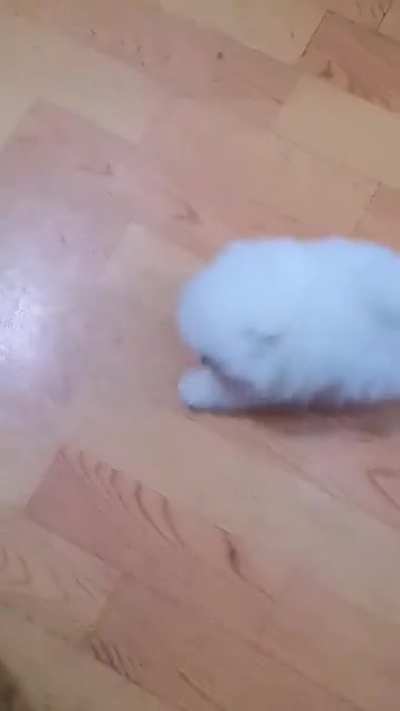 Who does he look like? ? On cotton candy or a cloud?