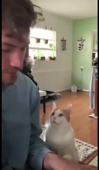 Adorable cat is getting emotional as his owner starts singing and playing piano ?