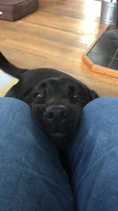 Very happy boy