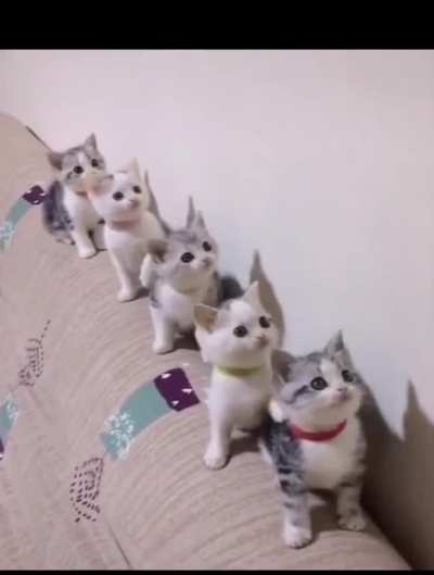 Watching you!?