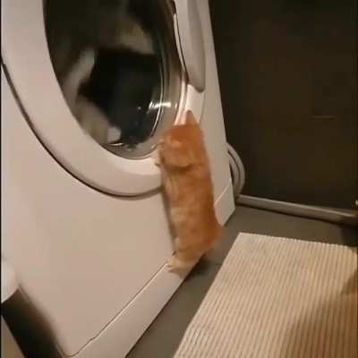 Practising for his next heist