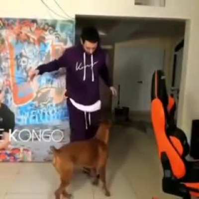 Bad boy