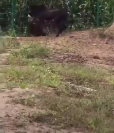 Maybe Maybe Maybe