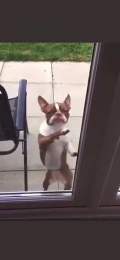 She would like to come inside