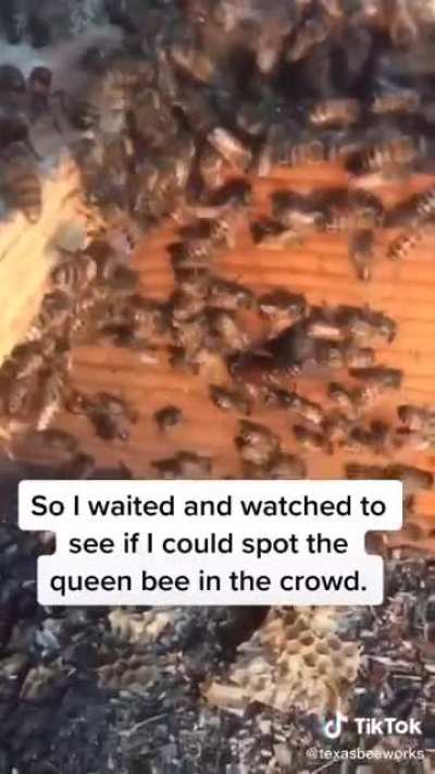 ?
