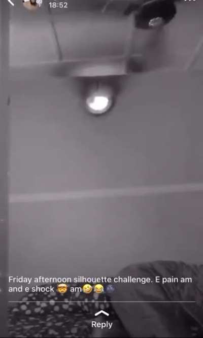 WCGW: Trying The Silhouette Challenge With The Ceiling Fan Turned On.