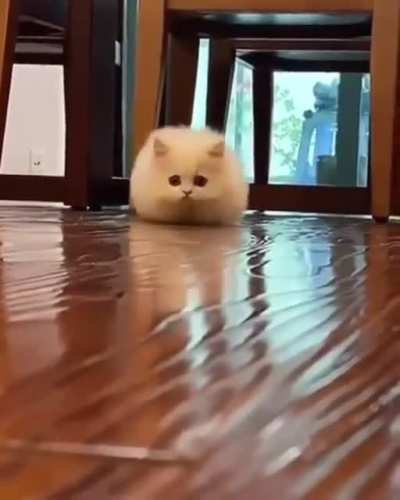 Here he comes