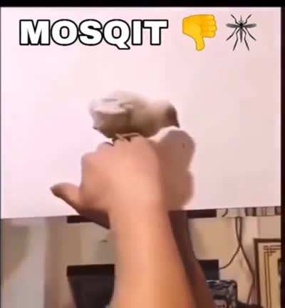Mosqit ??