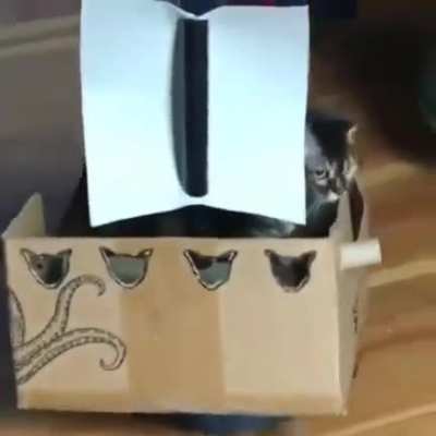 vacuum cleaner upgrade