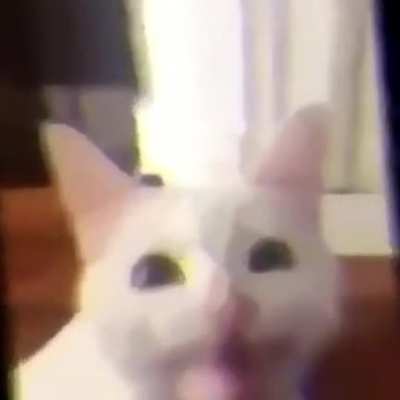 ?‍⬛