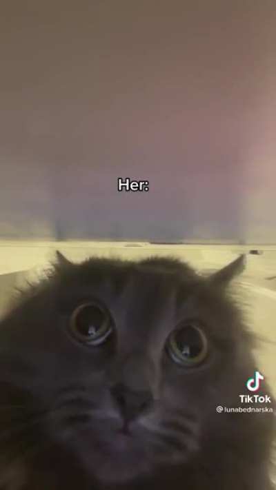 Kicking cat out of your room