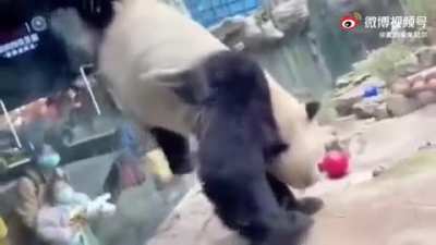 Tourists: what just happend?