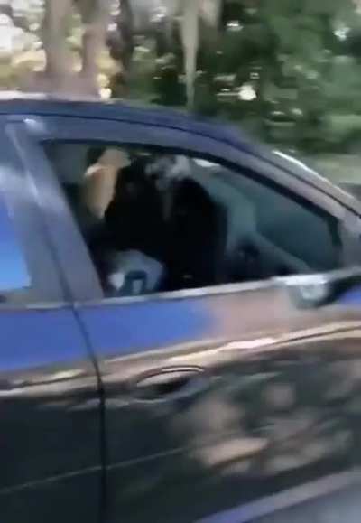 When the salesman said it was a "pussy magnet" this isn't what I thought he meant