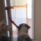 Betrayal