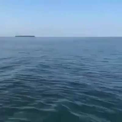 Nice catch!