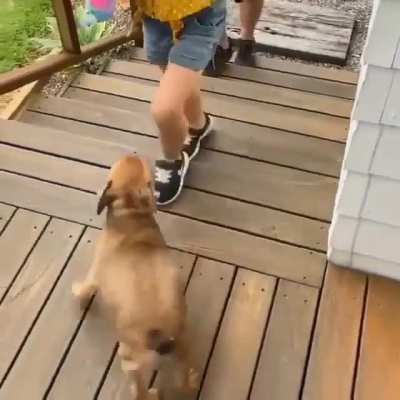 Cutest greeting I have ever seen?