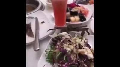 Live crab
