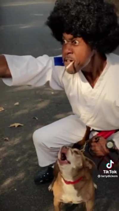 Kungfu Vs. Squirrel ?️