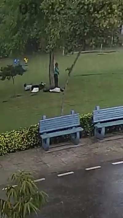 WCGW take shelter under a tree in a storm