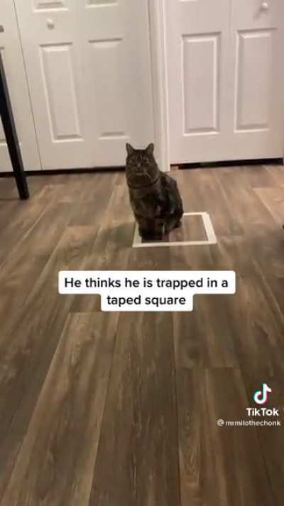 All He needs is the attention ?? ?