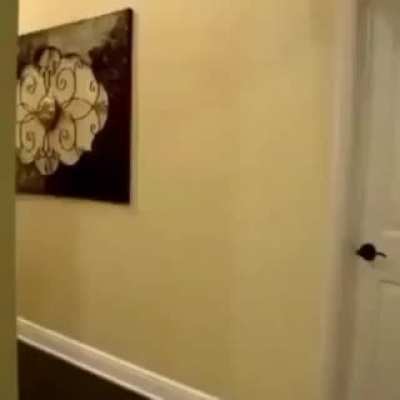 Toilet paper
