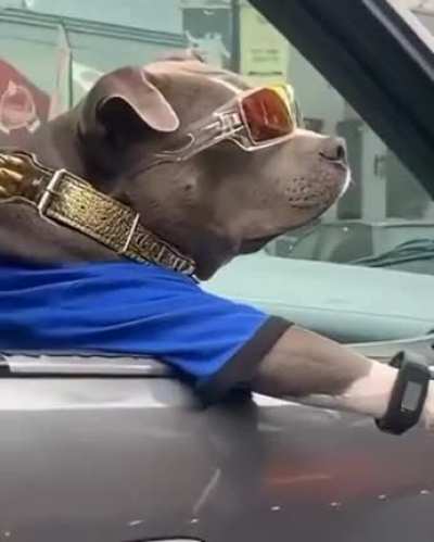 Coolest boy ?