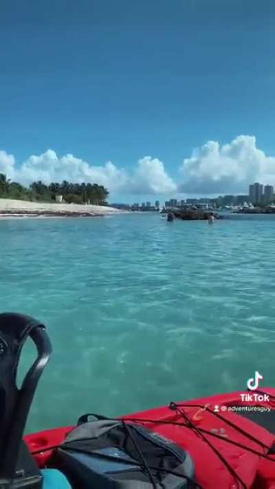 Follow adventuresguy on Tiktok ???