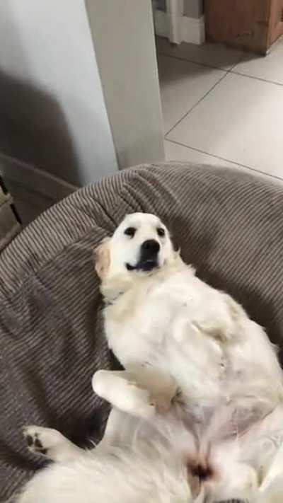 Nom nom nom