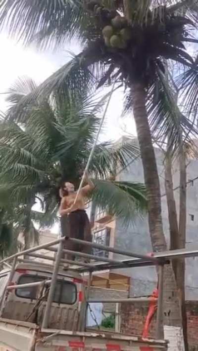 Yummy coconut