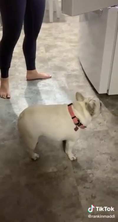 Quick, micro tippy taps