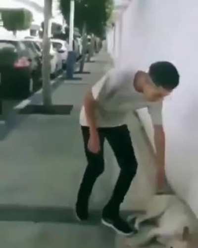 Tiktoking