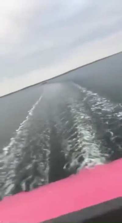 "Ha ha ha, we feed the whales from our cruise ship!" | Degeneration Z