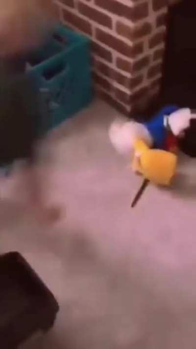 Poor Donald 23/5000