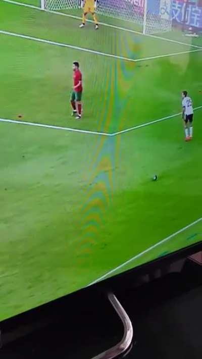 Pigeon doesn't give a toss about the Germany - Portugal match.