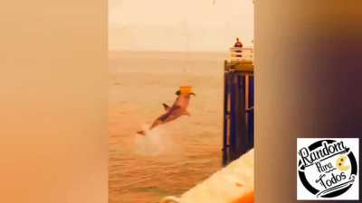 Poor seal